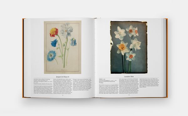 Produktbild: Flower: Exploring the World in Bloom