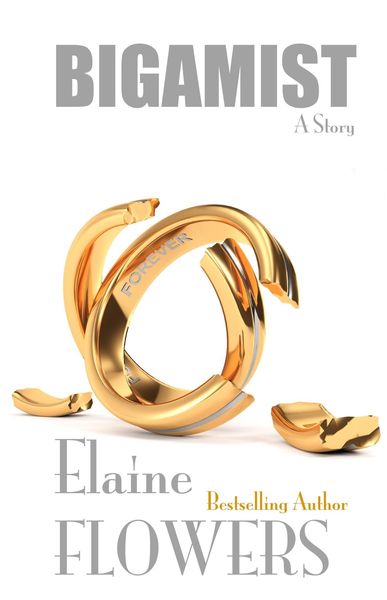 Produktbild: Bigamist: A Story