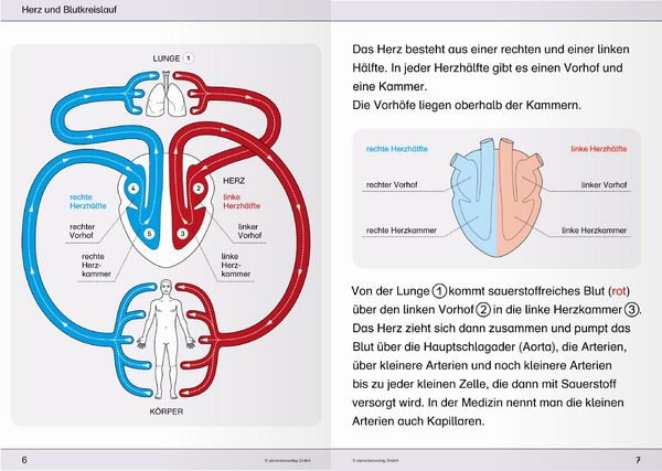 Produktbild: Ich kenne meinen Körper - 3 Hefte im Kombi