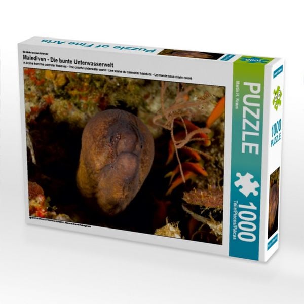 CALVENDO Puzzle Ein Motiv aus dem Kalender Malediven - Die bunte Unterwasserwelt | 1000 Teile Lege-Größe 64 × 48 cm Foto-Puzzle für glückliche Stunden