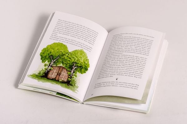 Produktbild: Zauberwald & Zwergenkraft