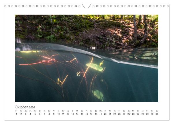 Produktbild: Unter Wasser in B&auml;chen und Fl&uuml;ssen (Wandkalender 2026 DIN A3 quer), CALVENDO Monatskalender