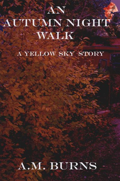 Produktbild: An Autumn Night Walk