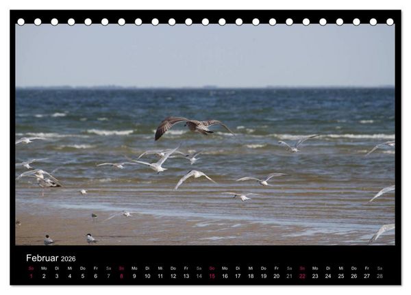 Produktbild: Texel, eine Perle Hollands (Tischkalender 2026 DIN A5 quer), CALVENDO Monatskalender