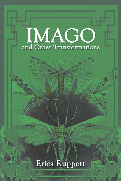 Produktbild: Imago and Other Transformations