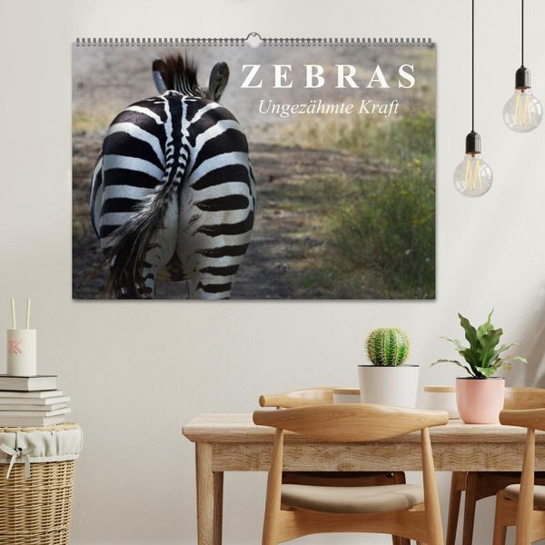 Produktbild: Zebras - Ungez&auml;hmte Kraft (Wandkalender 2026 DIN A2 quer), CALVENDO Monatskalender