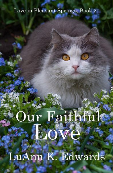 Produktbild: Our Faithful Love