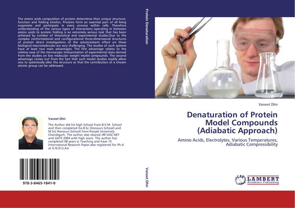Produktbild: Denaturation of Protein Model Compounds (Adiabatic Approach)
