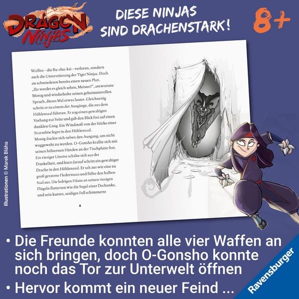 Produktbild: Dragon Ninjas, Band 5 - Der Drache der Schatten