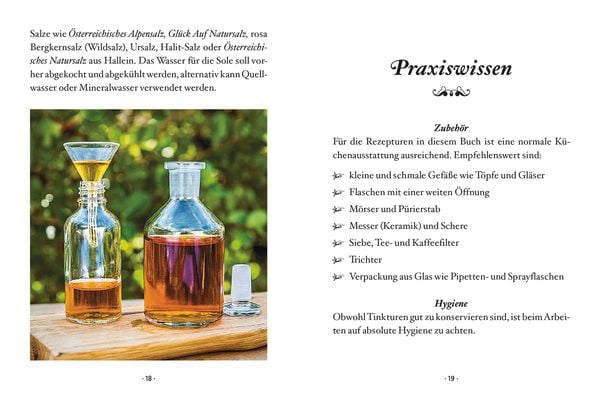 Das große kleine Buch: Heiltinkturen aus Wald und Wiese