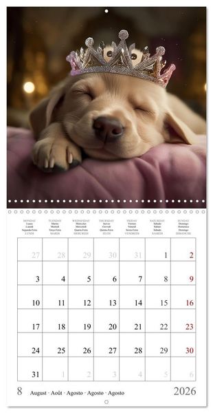 Produktbild: Fairy tale heroes with a wet nose (Wall Calendar 2026 12 &times; 12 Inch) CALVENDO 12 Month Wall Calendar