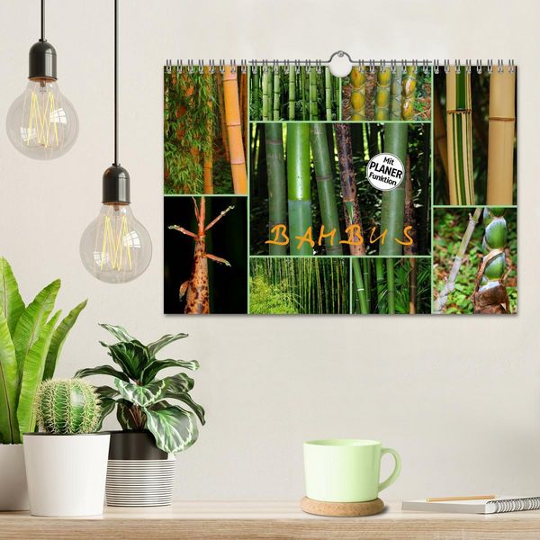 Produktbild: BAMBUS (Wandkalender 2026 DIN A4 quer), CALVENDO Monatskalender