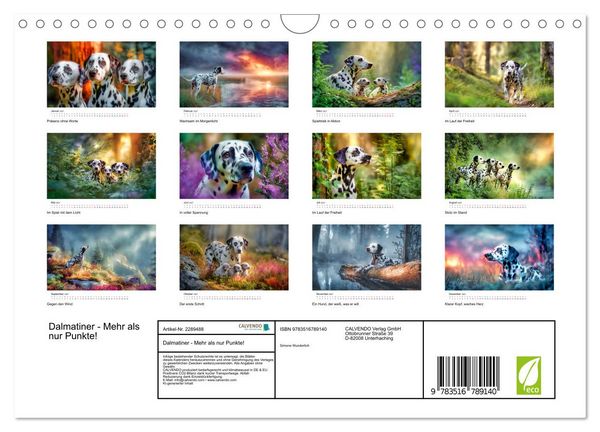 Produktbild: Dalmatiner - Mehr als nur Punkte! (Wandkalender 2027 DIN A4 quer), CALVENDO Monatskalender