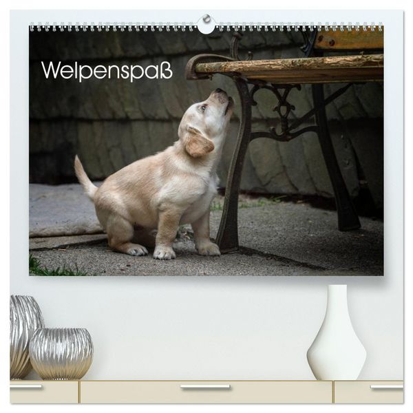 Welpenspaß (hochwertiger Premium Wandkalender 2026 DIN A2 quer), Kunstdruck in Hochglanz