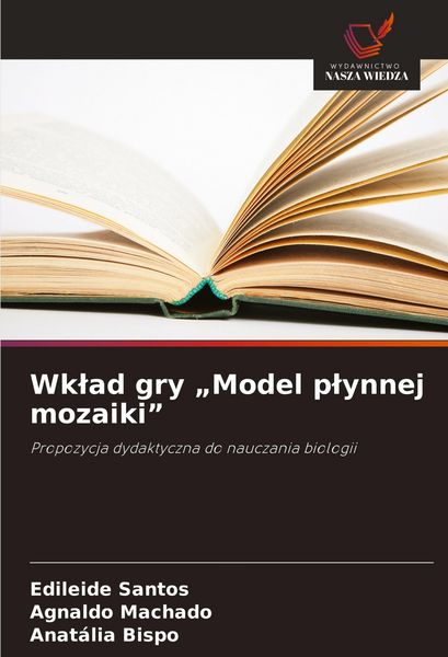Produktbild: Wk&iquest;ad gry "Model p&iquest;ynnej mozaiki"