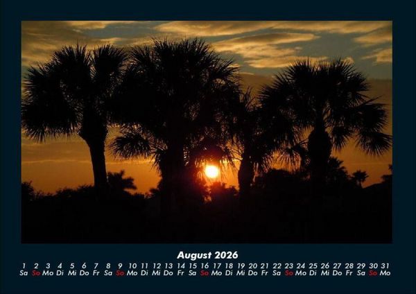 Produktbild: B&auml;ume 2026 Fotokalender DIN A4