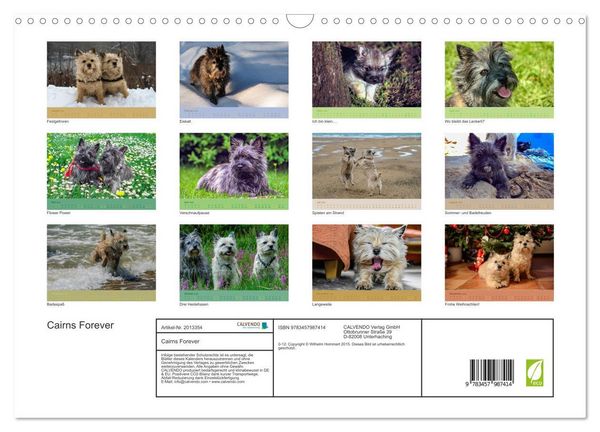 Produktbild: Cairns Forever (Wandkalender 2026 DIN A3 quer), CALVENDO Monatskalender