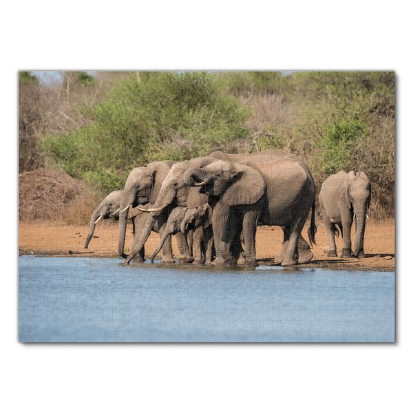 Produktbild: Lais Puzzle Herde Elefanten im Kr&uuml;ger Nationalpark 1000 Teile