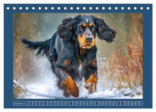 Produktbild: Gordon Setter. Edle Seelen in der Natur (Tischkalender 2027 DIN A5 quer), CALVENDO Monatskalender