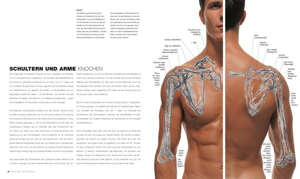 Produktbild: Anatomie f&uuml;r K&uuml;nstler
