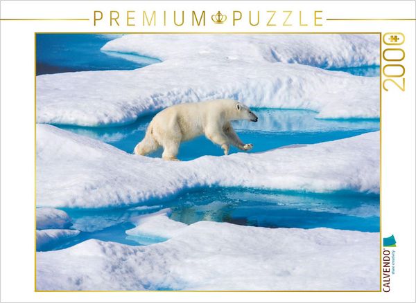 CALVENDO Puzzle Junger Eisbär springt von Eisscholle zu Eisscholle | 2000 Teile Lege-Größe 90x67cm Foto-Puzzle für glückliche Stunden