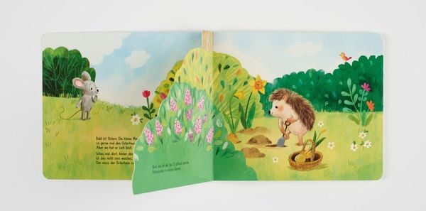 Produktbild: Wo bist du, kleiner Osterhase?