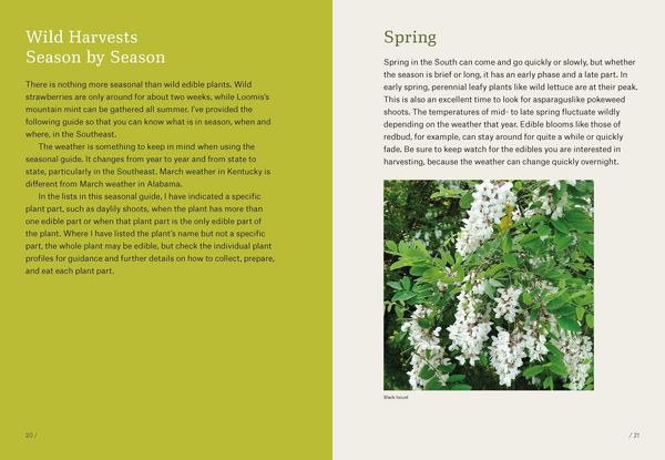 Produktbild: Southeast Foraging