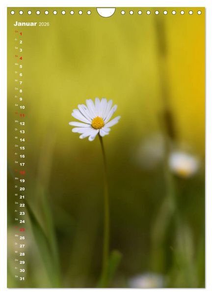 Produktbild: Colors of Nature (Wandkalender 2026 DIN A4 hoch), CALVENDO Monatskalender