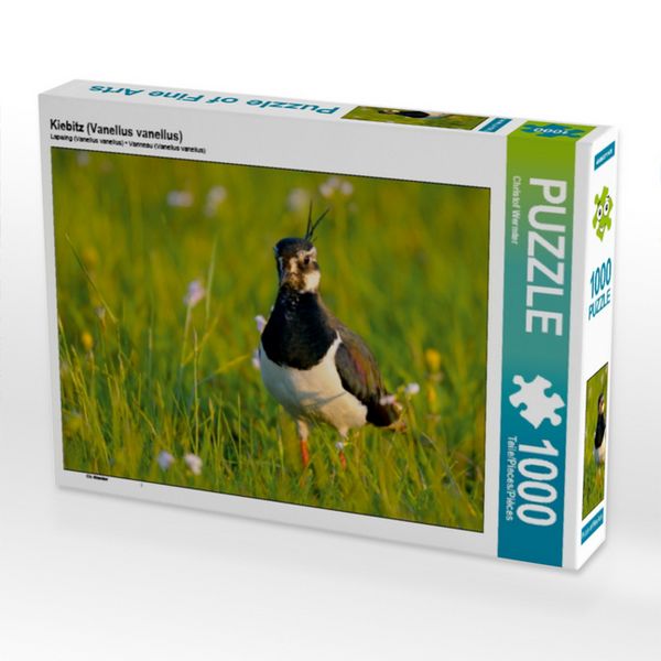 Produktbild: CALVENDO Puzzle Kiebitz (Vanellus vanellus) | 1000 Teile Lege-Gr&ouml;&szlig;e 64x48cm Foto-Puzzle f&uuml;r gl&uuml;ckliche Stunden