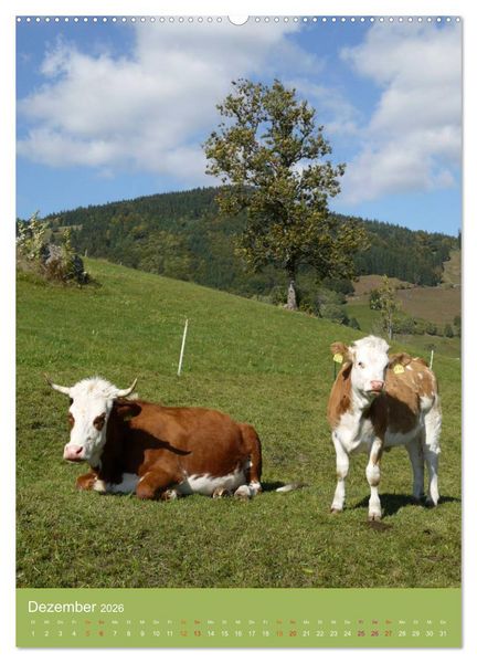 Produktbild: Schwarzwald und K&uuml;he im Hochformat (hochwertiger Premium Wandkalender 2026 DIN A2 hoch), Kunstdruck in Hochglanz