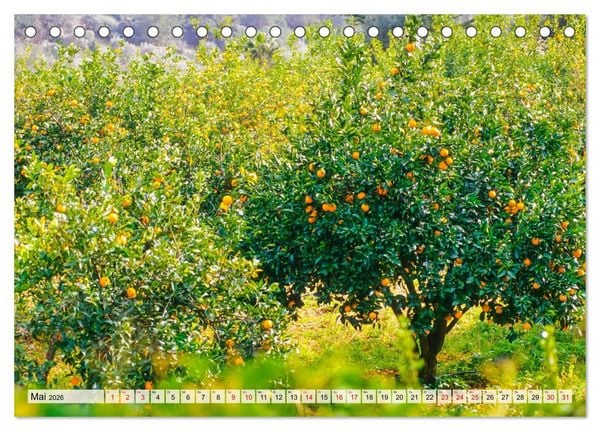 Produktbild: Immer wieder Mallorca (Tischkalender 2026 DIN A5 quer), CALVENDO Monatskalender