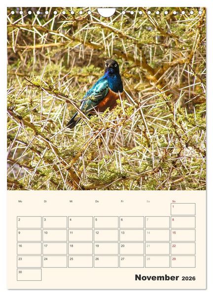 Produktbild: Kenia - Terminplaner (Wandkalender 2026 DIN A4 hoch), CALVENDO Monatskalender