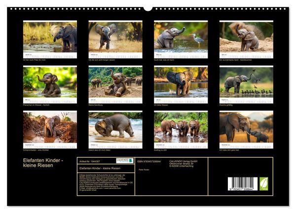 Produktbild: Elefanten Kinder - kleine Riesen (hochwertiger Premium Wandkalender 2026 DIN A2 quer), Kunstdruck in Hochglanz