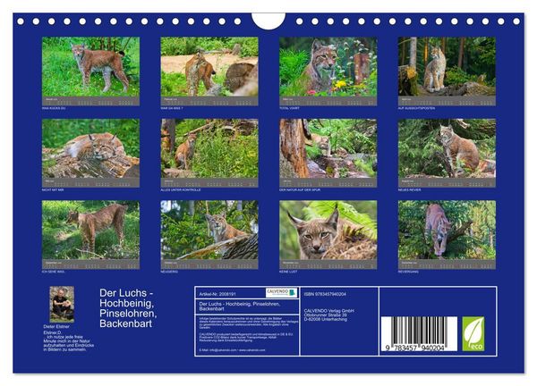 Produktbild: Der Luchs - Hochbeinig, Pinselohren, Backenbart (Wandkalender 2026 DIN A4 quer), CALVENDO Monatskalender