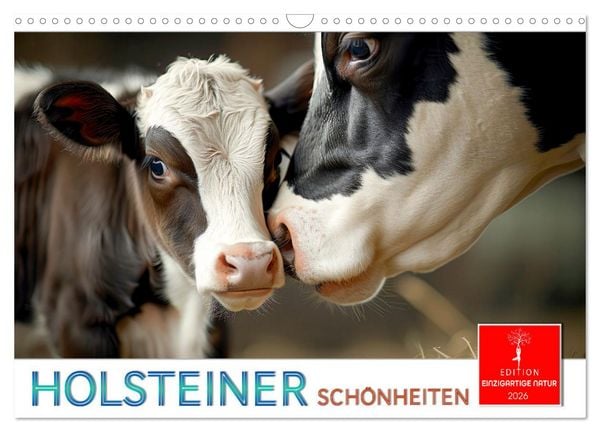 Holsteiner Schönheiten (Wandkalender 2026 DIN A3 quer), CALVENDO Monatskalender