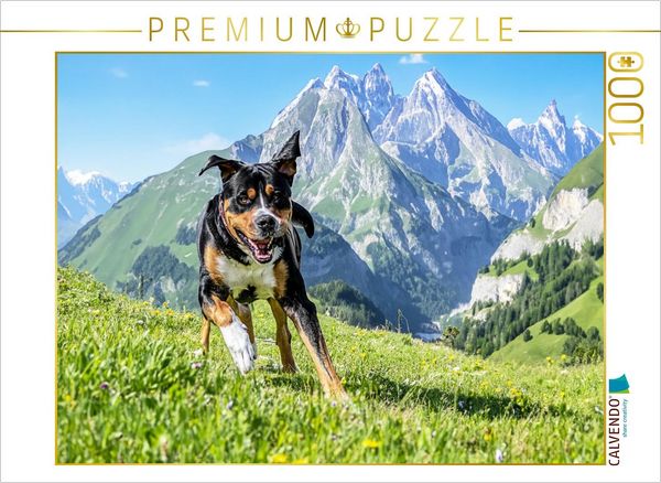Produktbild: CALVENDO Puzzle Schweizer Berge | 1000 Teile Lege-Gr&ouml;&szlig;e 64x48cm Foto-Puzzle f&uuml;r gl&uuml;ckliche Stunden
