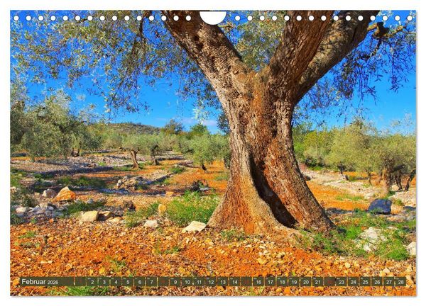 Produktbild: Costa del Azahar - K&uuml;ste der Orangenbl&uuml;te (Wandkalender 2026 DIN A4 quer), CALVENDO Monatskalender