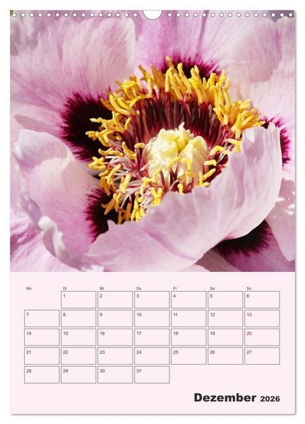 Produktbild: Pfingstrosen Rosen ohne Dornen (Wandkalender 2026 DIN A3 hoch), CALVENDO Monatskalender