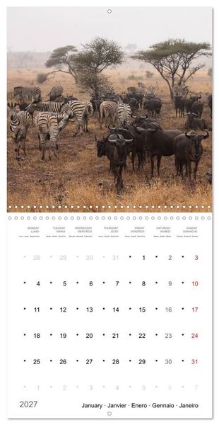 Produktbild: Adventure South Africa 2027 (Wall Calendar 2027 12 &times; 12 Inch) CALVENDO 12 Month Wall Calendar