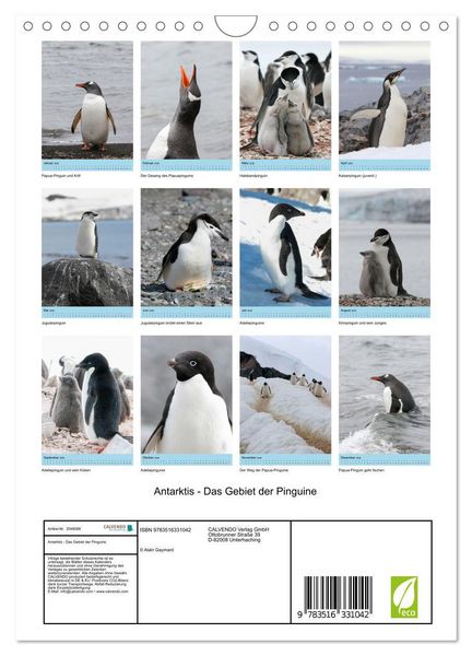 Produktbild: Antarktis - Das Gebiet der Pinguine (Wandkalender 2026 DIN A4 hoch), CALVENDO Monatskalender