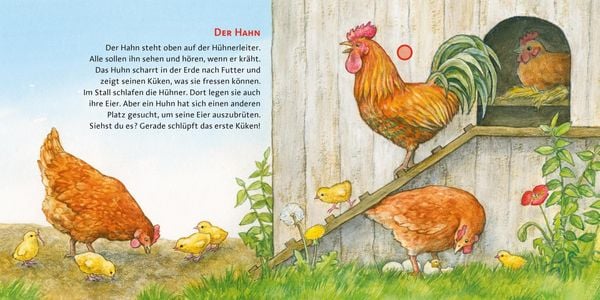 Produktbild: Hör mal (Soundbuch): Der Bauernhof