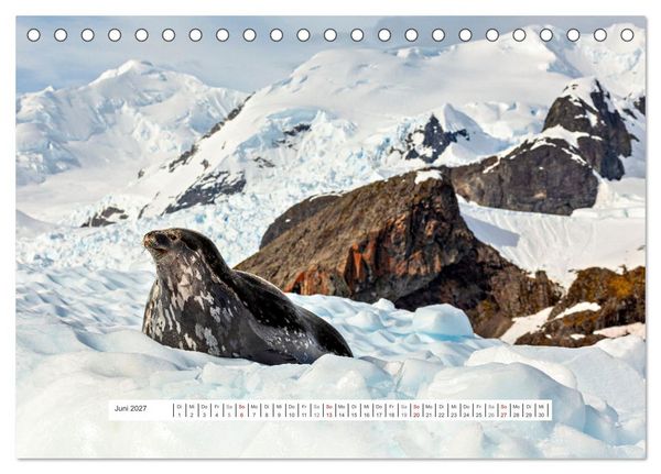 Produktbild: Expedition Antarktis (Tischkalender 2027 DIN A5 quer), CALVENDO Monatskalender