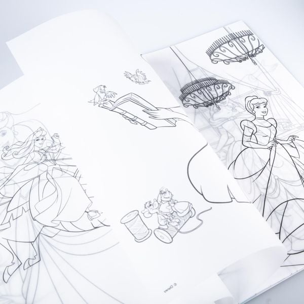 Produktbild: Disney Prinzessin: Mein Fenstermalbuch