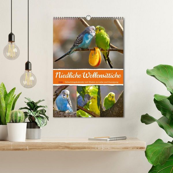 Produktbild: Niedliche Wellensittiche (Wandkalender 2026 DIN A3 hoch), CALVENDO Monatskalender