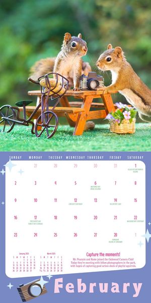 Produktbild: Rose, N: Secret Life of Squirrels Mini Wall Calendar 2025