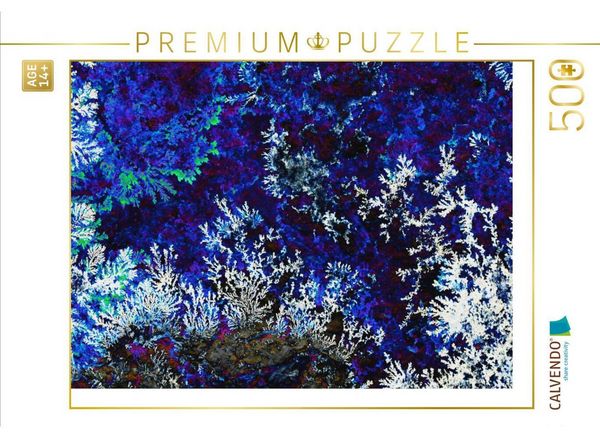 CALVENDO Puzzle Ein Motiv aus dem Kalender Versteinerte Miniaturwelten - Farbenspiele auf Solnhofener Plattenkalk | 500 Teile Lege-Größe 48 × 36 cm Foto-Puzzle für Erwachsene