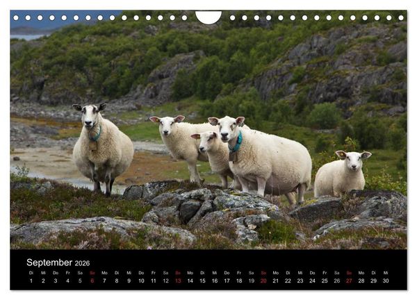 Produktbild: Norwegen - Faszination des Nordens (Wandkalender 2026 DIN A4 quer), CALVENDO Monatskalender