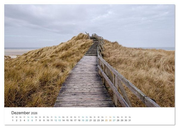 Produktbild: Amrum: Natur und Freiheit (Wandkalender 2026 DIN A2 quer), CALVENDO Monatskalender