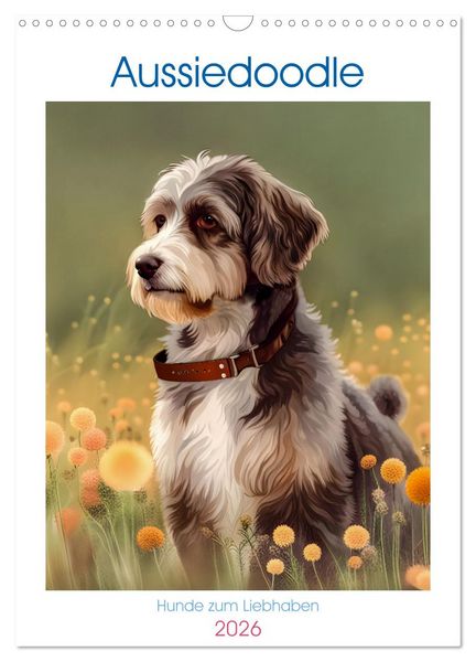 Aussiedoodle - Hunde zum Liebhaben (Wandkalender 2026 DIN A3 hoch), CALVENDO Monatskalender
