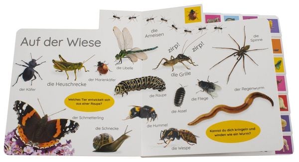 Produktbild: Erstes Lernen. Tiere